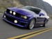 Mustang (1).jpg
